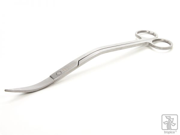 Plant Care Schere, 25 cm